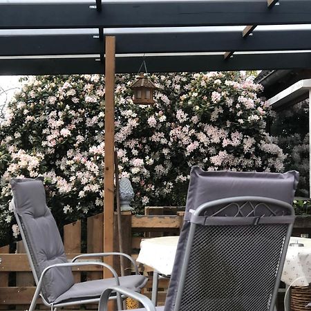 Wardenburg Haus Alma 1 아파트 외부 사진