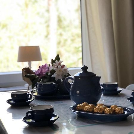 Wardenburg Haus Alma 1 아파트 외부 사진
