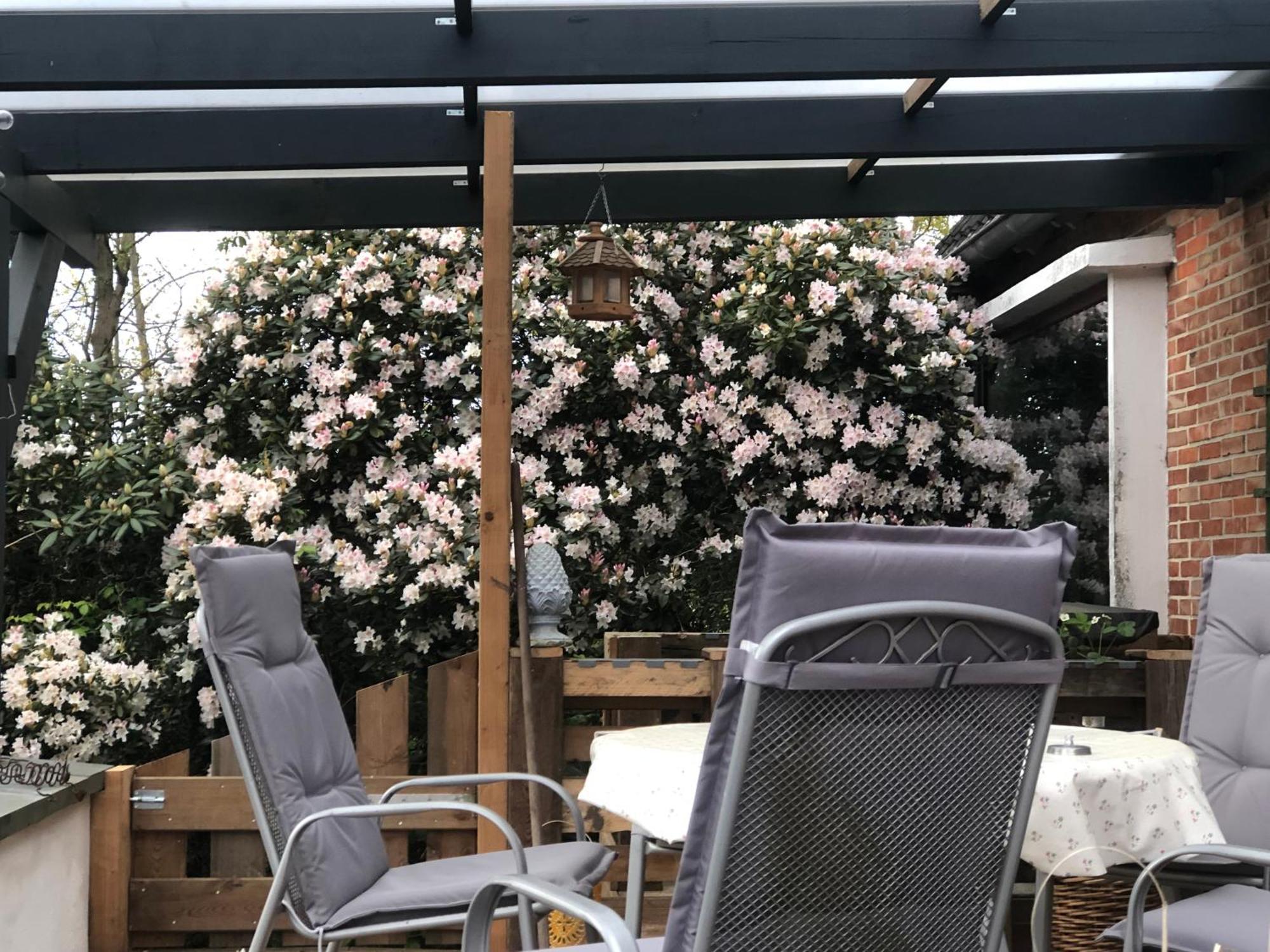 Wardenburg Haus Alma 1 아파트 외부 사진